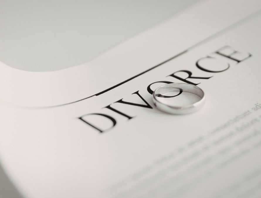 Animal victime de maltraitance