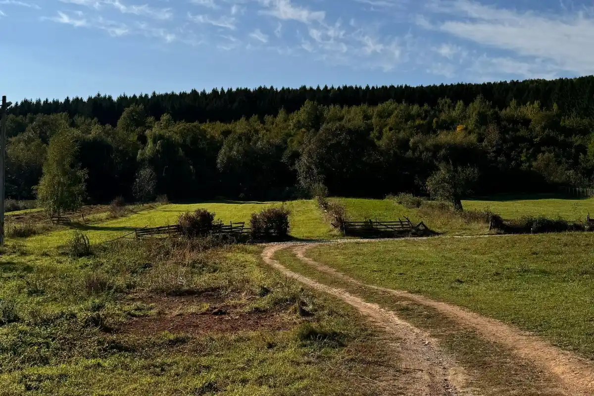 Chemin de terre traversant un terrain naturel avant un projet de construction