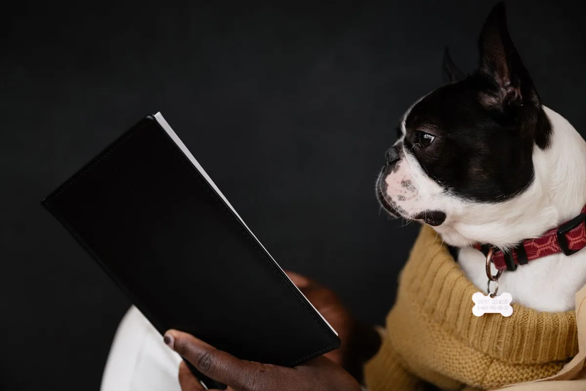 Chien observant une personne qui consulte un dossier de documents